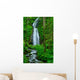 Kumoi falls Japan Wall Decal