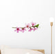Pink Blossoms Wall Decal