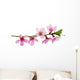 Pink Blossoms Wall Decal