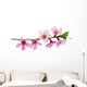 Pink Blossoms Wall Decal