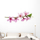 Pink Blossoms Wall Decal