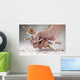 Quitting smoking Wall Decal