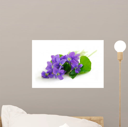 violets on white background Wall Decal