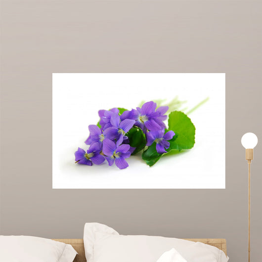 violets on white background Wall Decal