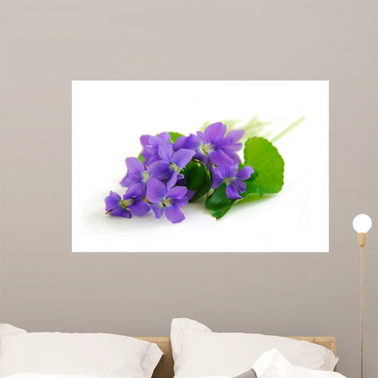 violets on white background Wall Decal