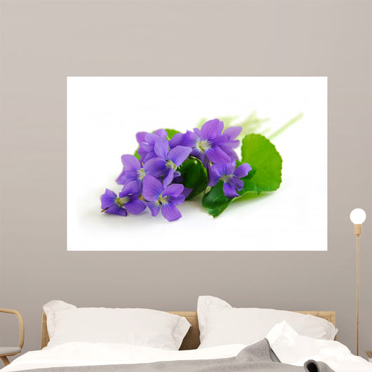 violets on white background Wall Decal