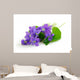 violets on white background Wall Decal
