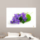 violets on white background Wall Decal