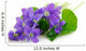 violets on white background Wall Decal