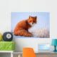 red fox Wall Decal