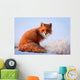 red fox Wall Decal