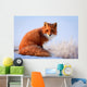 red fox Wall Decal