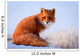 red fox Wall Decal