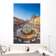 Neptune fountain from above in Navona square, Rome, Italy Wall Decal
