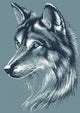 Wolf head vector sketch Wall Decal