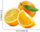 orange with slices isolated on the white background Wall Decal