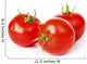 Tomato vegetables on white background Wall Decal