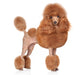Toy-poodle White