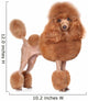 Toy-poodle White Wall Decal