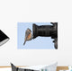 Tufted Titmouse on a Camera Lens Wall Decal