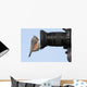 Tufted Titmouse on a Camera Lens Wall Decal