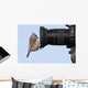 Tufted Titmouse on a Camera Lens Wall Decal
