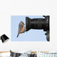 Tufted Titmouse on a Camera Lens Wall Decal