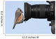 Tufted Titmouse on a Camera Lens Wall Decal