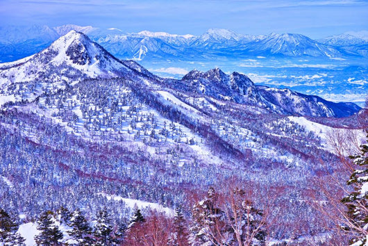 The Shiga Kogen mountains Wall Decal