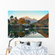 Black Dragon pool Wall Decal