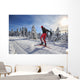 cross-country skiing Wall Decal
