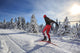 cross-country skiing Wall Decal