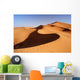 Morocco. Sand dunes of Sahara desert Wall Decal