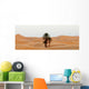Morocco Sand dunes Wall Decal