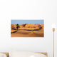 Morocco Sand Dunes Sahara Wall Decal