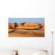 Morocco Sand Dunes Sahara Wall Decal