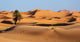 Morocco Sand Dunes Sahara
