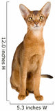Abyssinian cat over white background Wall Decal
