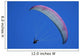 paraglider Wall Decal