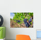 Ripe grapes in a vineyard, Tuscany Wall Decal