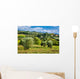 Vineyards And Olive Trees Wall Decal