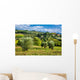 Vineyards And Olive Trees Wall Decal