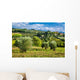Vineyards And Olive Trees Wall Decal