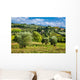 Vineyards And Olive Trees Wall Decal