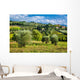 Vineyards And Olive Trees Wall Decal