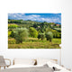 Vineyards And Olive Trees Wall Decal