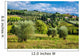 Vineyards And Olive Trees Wall Decal