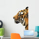 Tiger Head over White Wall Decal