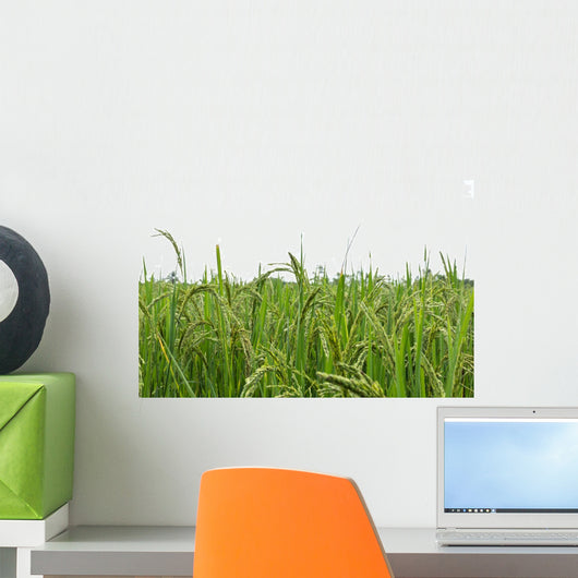 Green rice fields Wall Decal