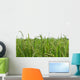 Green rice fields Wall Decal
